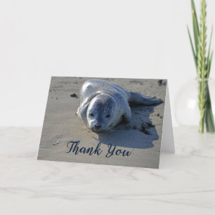 Phoque de bébé sur la plage Carte de remerciements