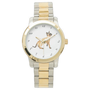 phoque point siamese montre chat