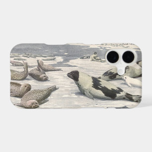 Phoques à la harpe vintage dans la neige arctique 