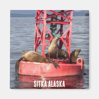 Phoques du port - Sitka Alaska Magnet