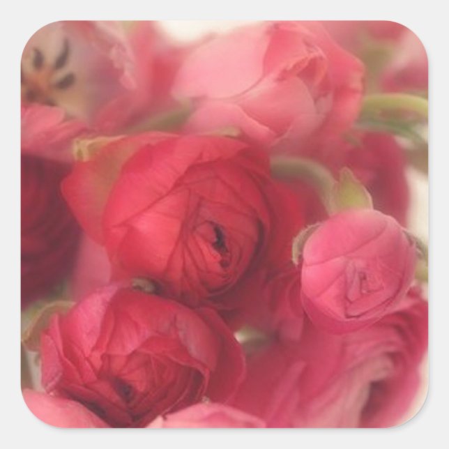 Phoques et autocollants d'enveloppes florales rose (Devant)