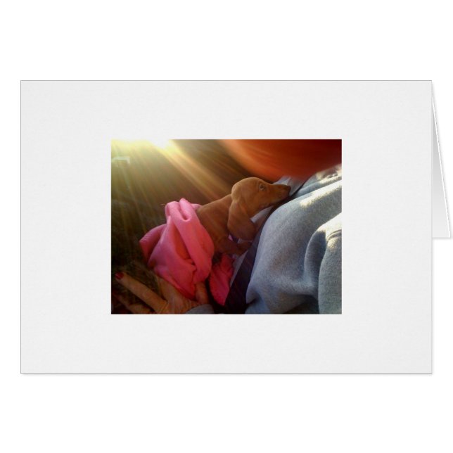 photo[1] (Front Horizontal)