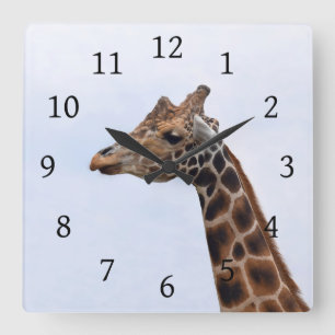 Photo 106 Giraffe Square Wall Clock