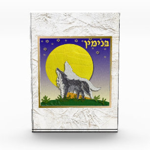 Photo 12 Tribus d'Israël Benjamin Art bloc acrylique