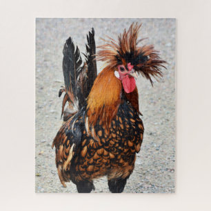 Photo 136 Rooster Jigsaw Puzzle