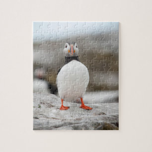 Photo 8" de macareux x 10" puzzle de photo avec la