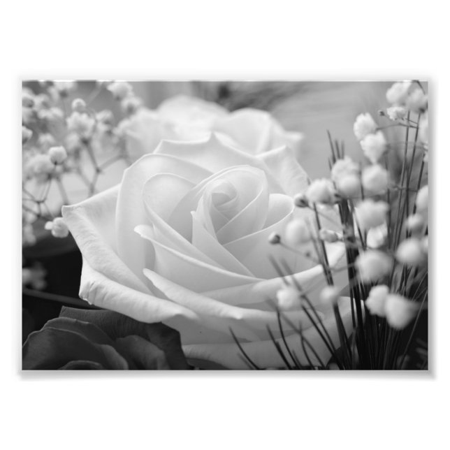 Photo à la rose blanche (Devant)