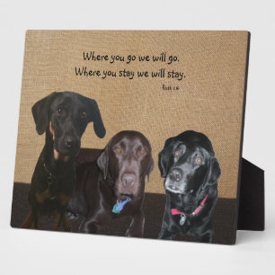 Photo Amoureux des chiens Plaque