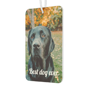 Photo and Text Custom Personalized Air Freshener