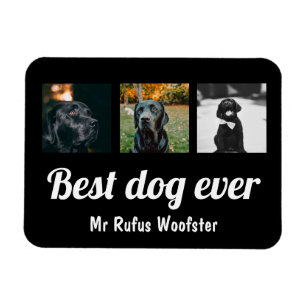Photo and Text Custom Personalized Magnet