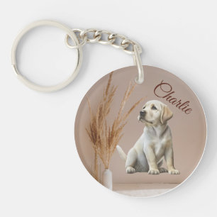 Photo Animal Photo Chien Photo Chat Photo Double C