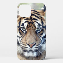 Photo  , animals , tiger , tigre . Case-Mate iPhon