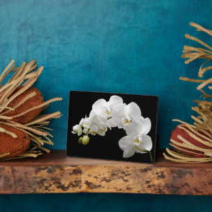 Photo Art Décor Plaque de fleurs orchidées