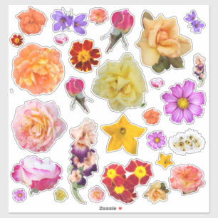 Photo Assortment Colorful Flowers Custom Stickers