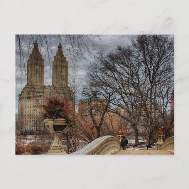 Photo at Bow Bridge in Central Park, NYC Postcard (Front)