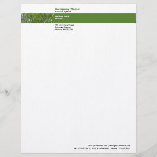 Photo Band - Japanese Maple Letterhead