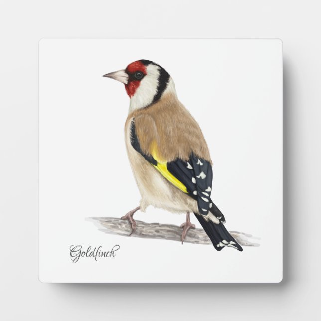 Photo Belle Plaque Oiseaux (Devant)