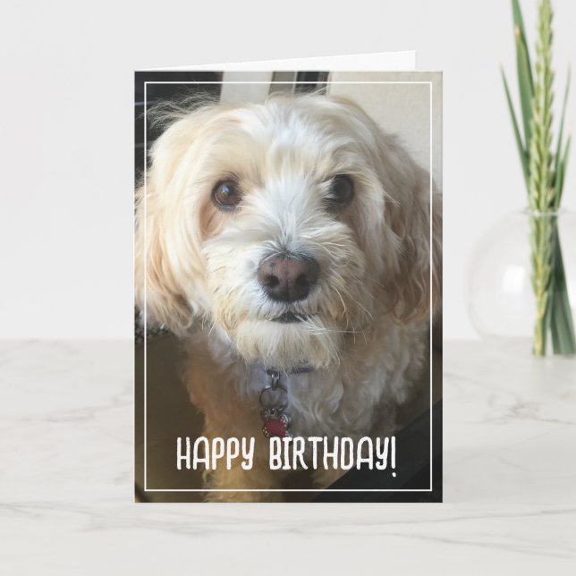 Photo Birthday Card (Front)