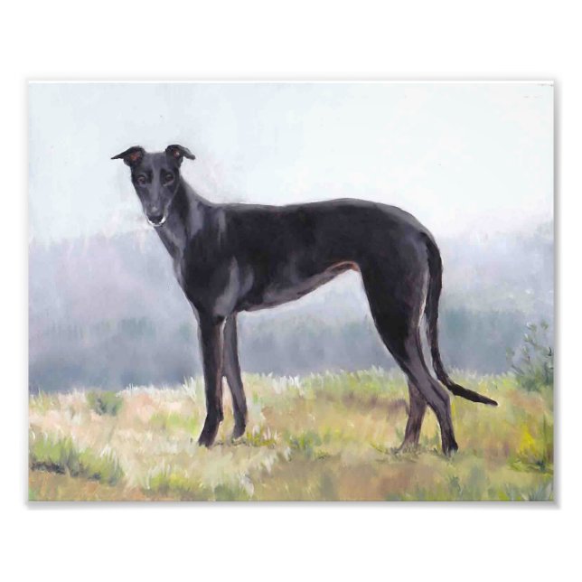 Photo Black Greyhound Standing Dog (Devant)