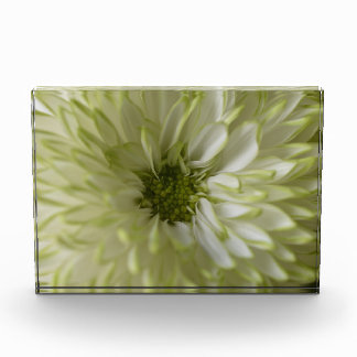 Photo Bloc horizontal Photobloc
