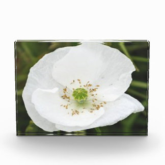 Photo block with flowers