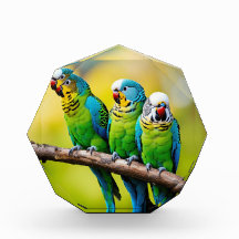Photo Blocks