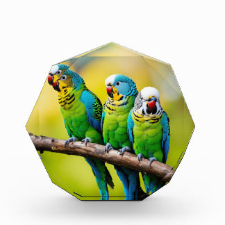 Photo Blocks