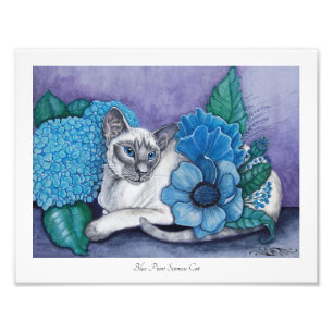 Photo Blue Point Siamese