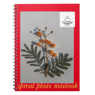 photo book