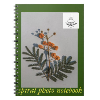 photo book