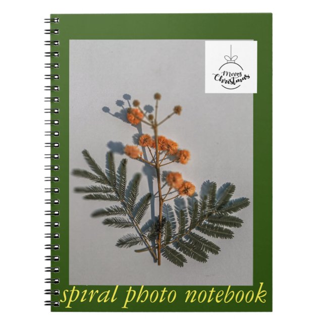 photo book (Front)