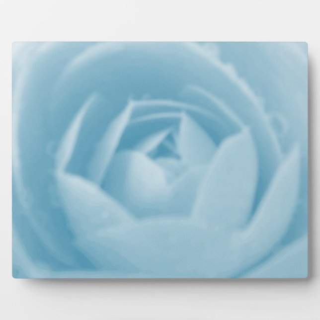Photo Camellia Whirlpool Plaque (Devant)