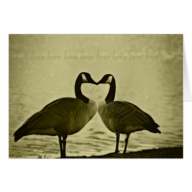 Photo canadienne d'oies (Devant horizontal)