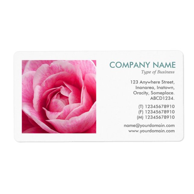 Photo carré - Camelia (Devant)