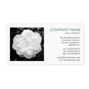 Photo carré - Camelia blanche