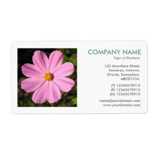 Photo carré - Cosmos rose