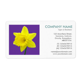 Photo carré - Daffodil II