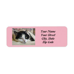 Photo Cat