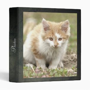 Photo cat , animals. 3 ring binder