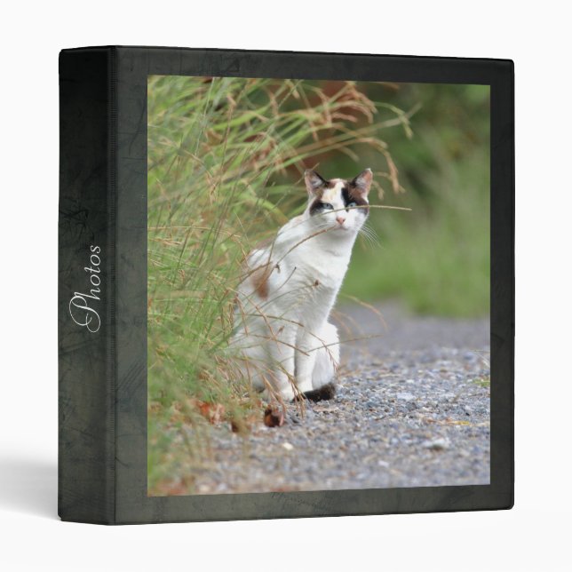 Photo cat , animals. 3 ring binder (Front/Spine)
