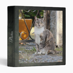 Photo cat, animaux. classeur à 3 anneaux