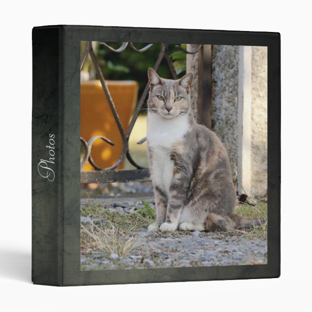 Photo cat, animaux. classeur à 3 anneaux (Devant/Côté)