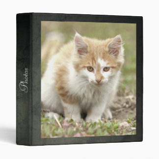 Photo cat, animaux. classeur à 3 anneaux