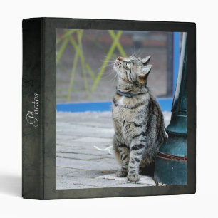 Photo cat, animaux. classeur à 3 anneaux