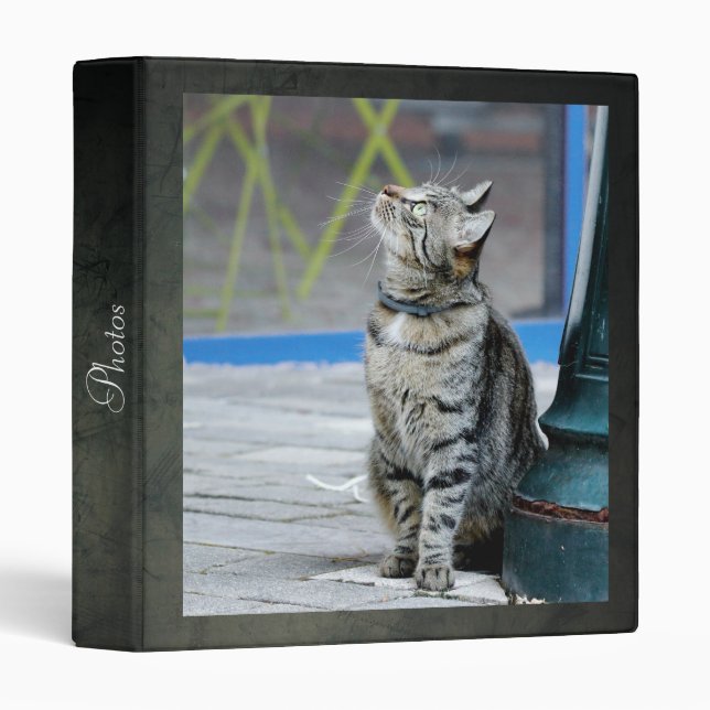 Photo cat, animaux. classeur à 3 anneaux (Devant/Côté)
