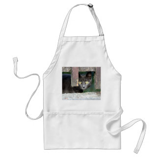 Photo cat , pet , animals 0008. standard apron
