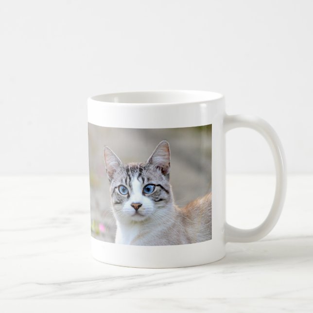 Photo cat , pet , animals 0138. coffee mug (Right)