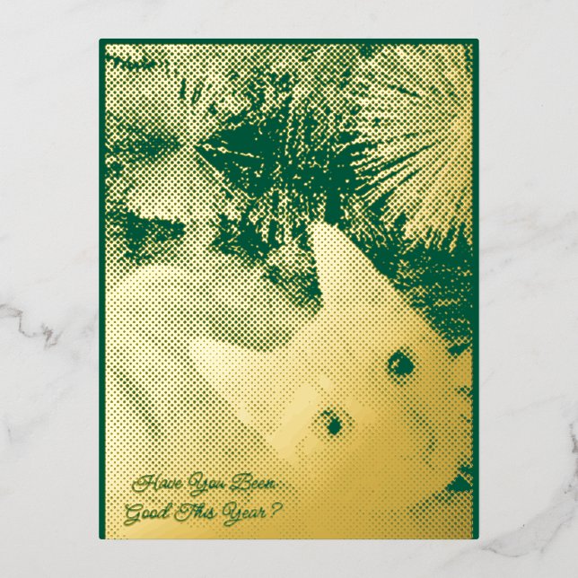 Photo Cat Text Christmas Folded Foil Greeting Card (Front)
