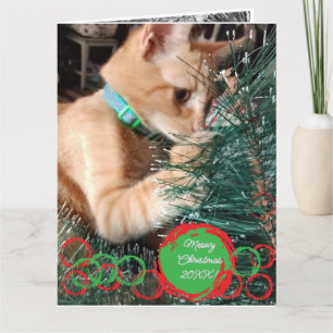 Photo Cat Text  Customize Christmas Card