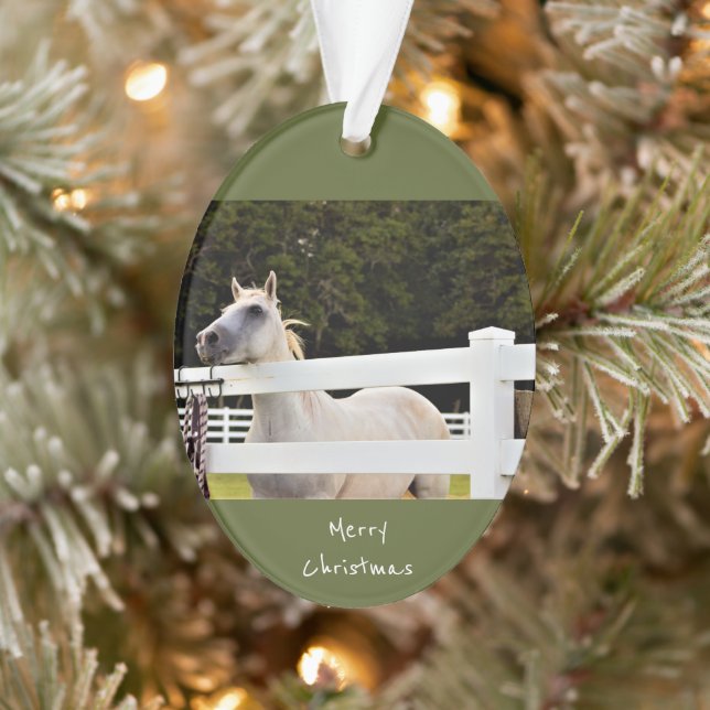 Photo Cheval Blanc (Arbre)